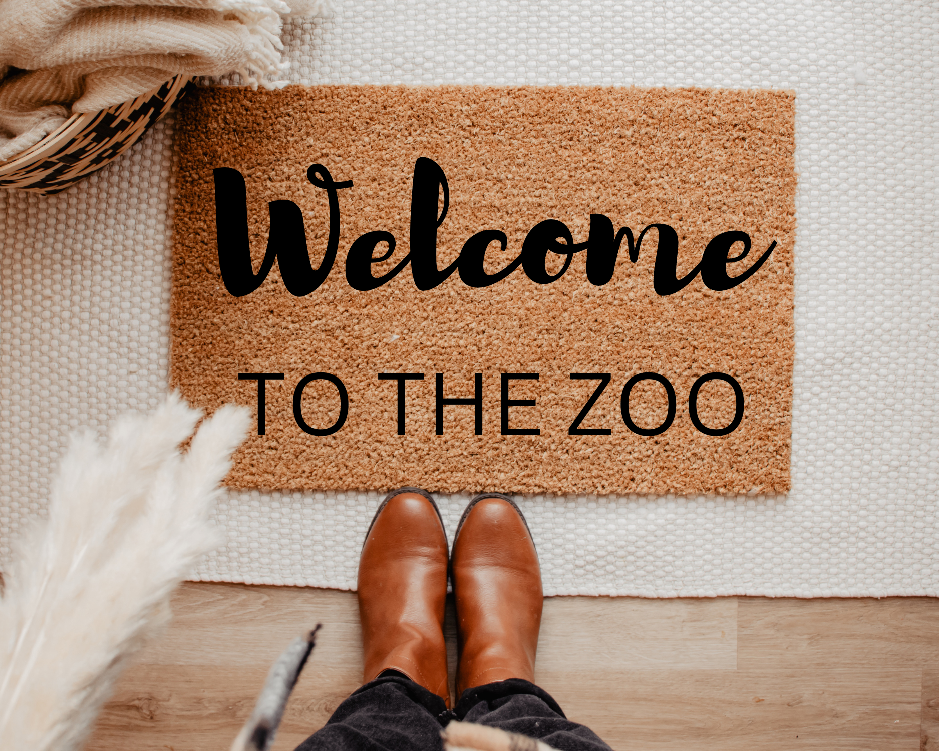 Welcome to the Zoo